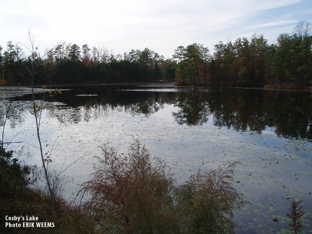 Waters of Cosbys Lake Chesterfield Virginia
