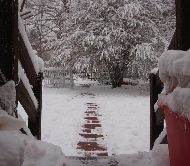 Snowy Bricj Walk